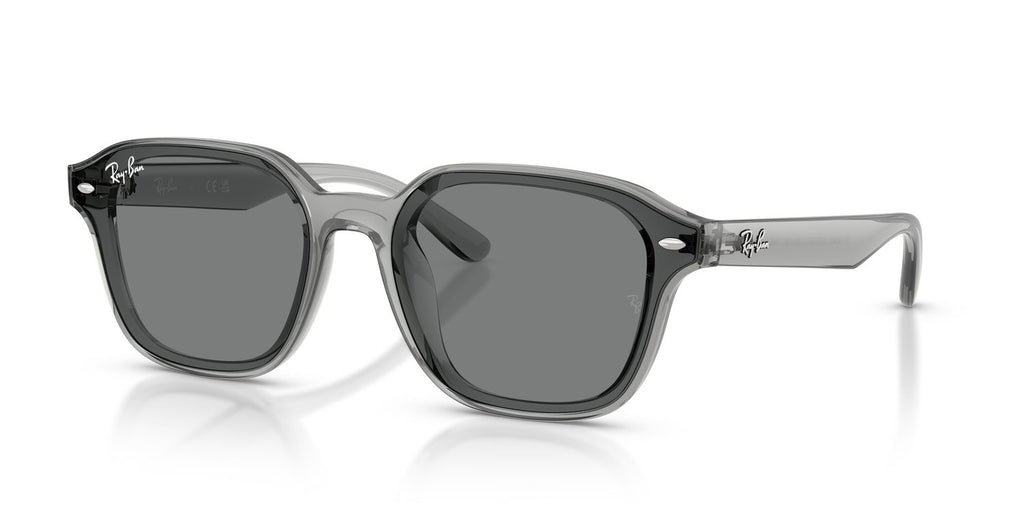Ray-Ban | 0RB4458D