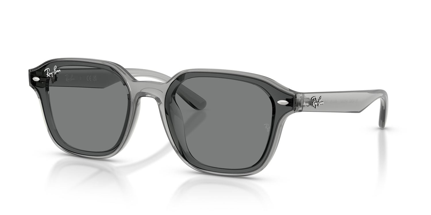 Ray-Ban | 0RB4458D