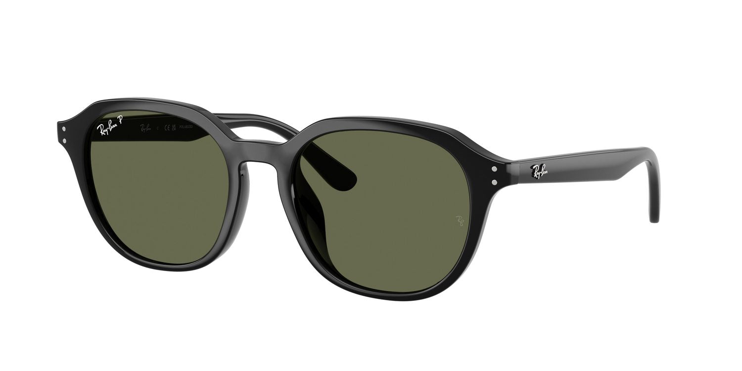 Ray-Ban | 0RB4459D
