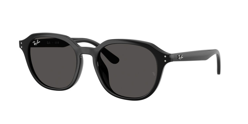Ray-Ban | 0RB4459D