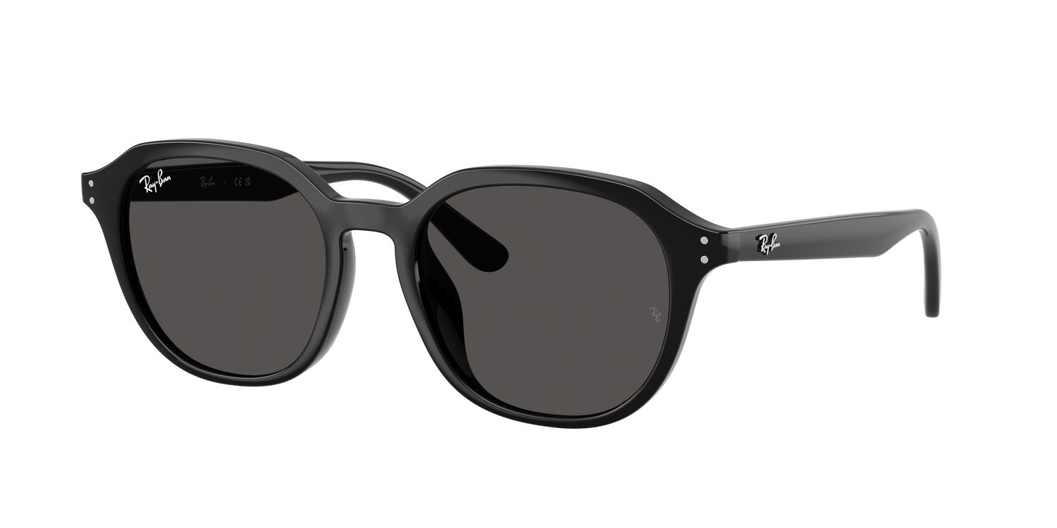 Ray-Ban | 0RB4459D