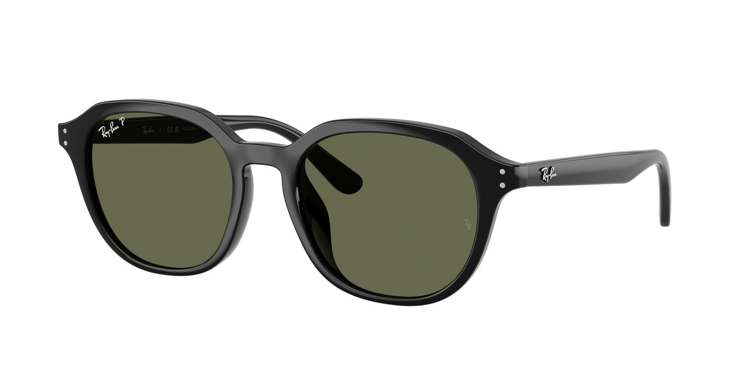Ray-Ban | 0RB4459D