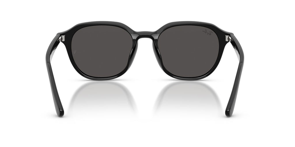 Ray-Ban | 0RB4459D