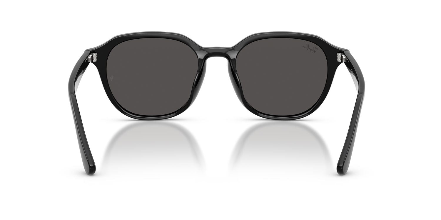 Ray-Ban | 0RB4459D