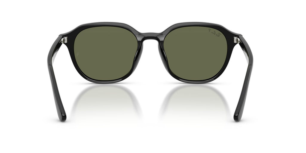 Ray-Ban | 0RB4459D