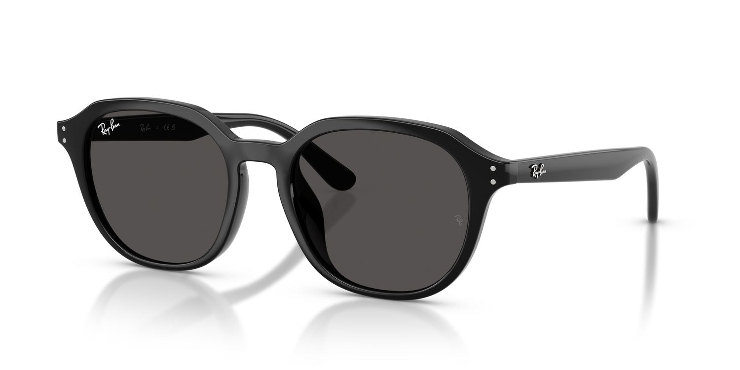 Ray-Ban | 0RB4459D