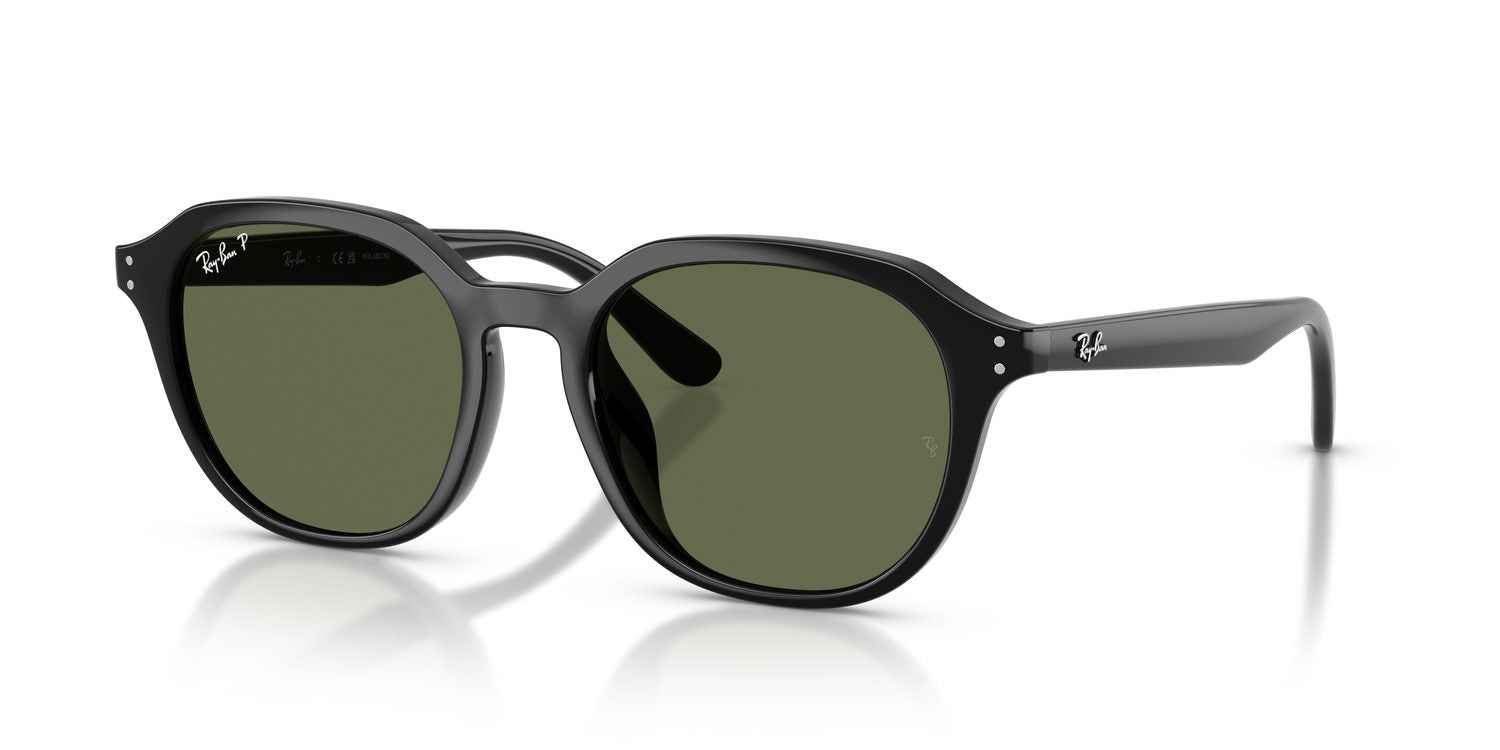 Ray-Ban | 0RB4459D