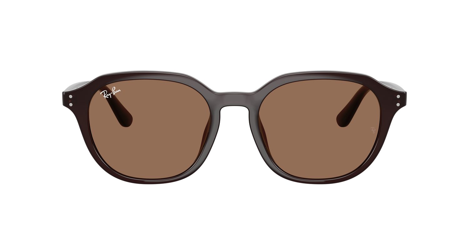 Ray-Ban | 0RB4459D