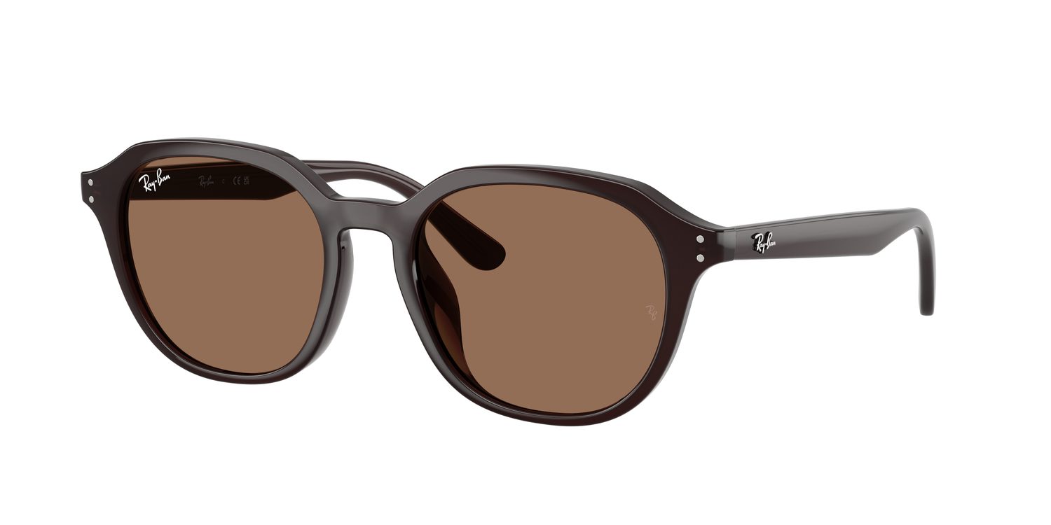 Ray-Ban | 0RB4459D