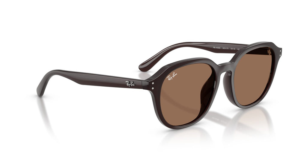 Ray-Ban | 0RB4459D