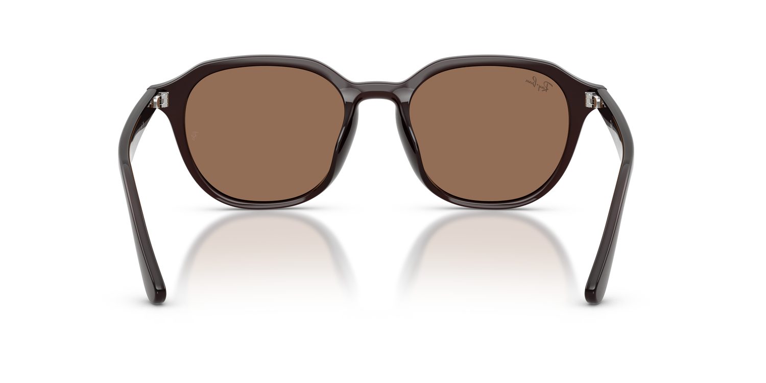 Ray-Ban | 0RB4459D
