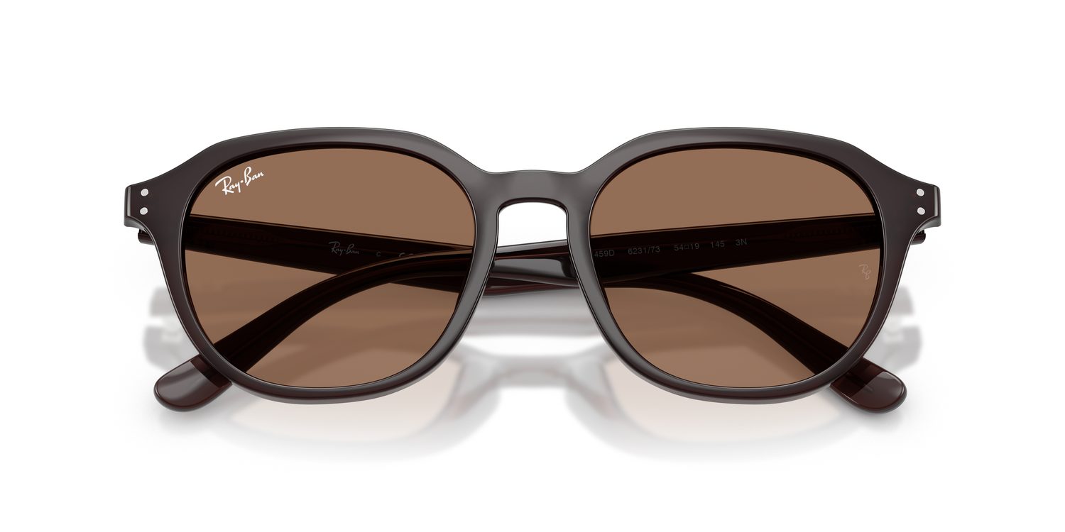 Ray-Ban | 0RB4459D