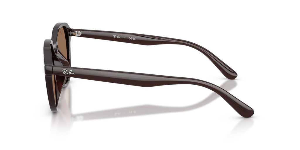 Ray-Ban | 0RB4459D