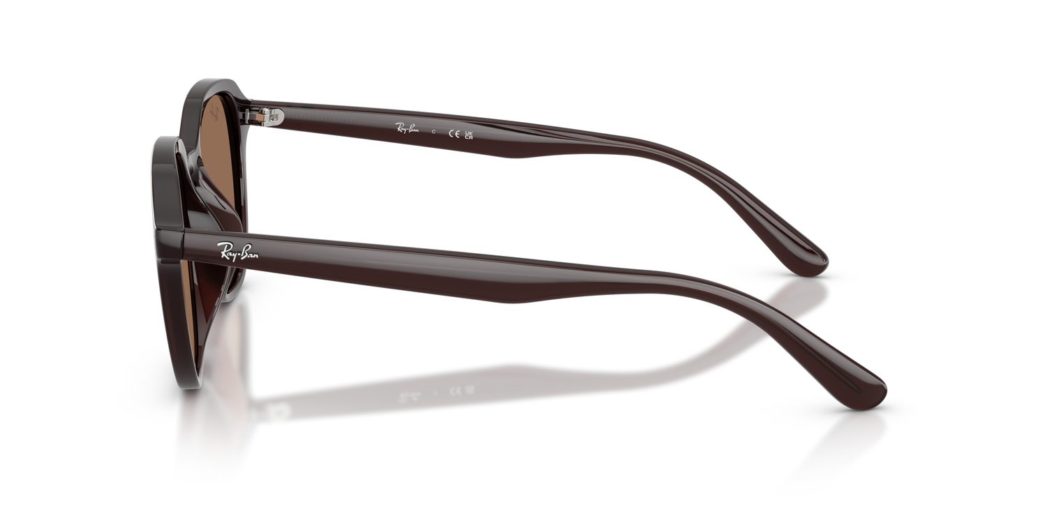 Ray-Ban | 0RB4459D
