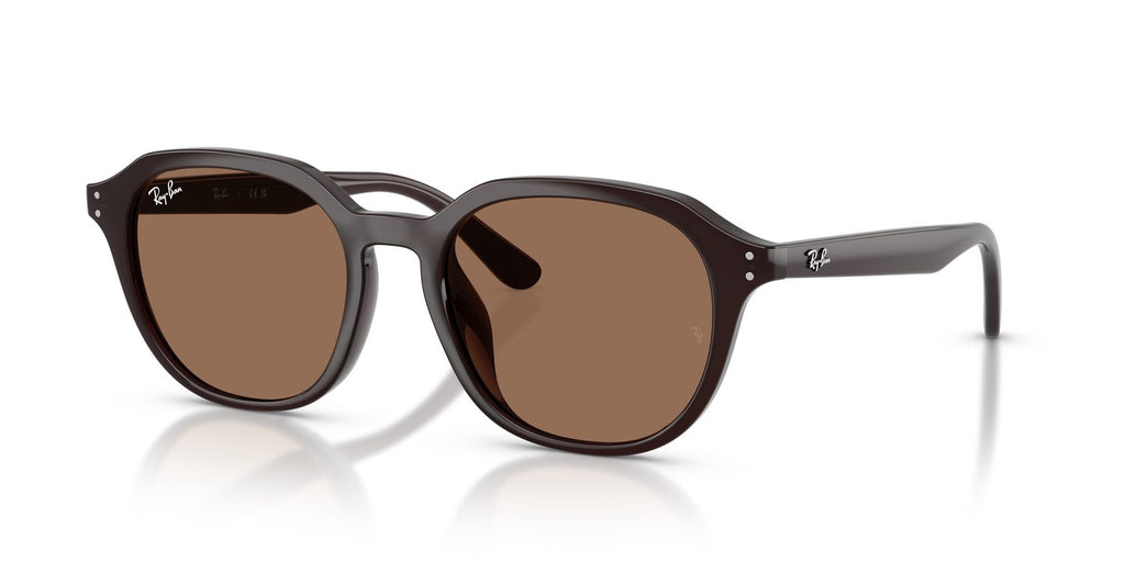 Ray-Ban | 0RB4459D