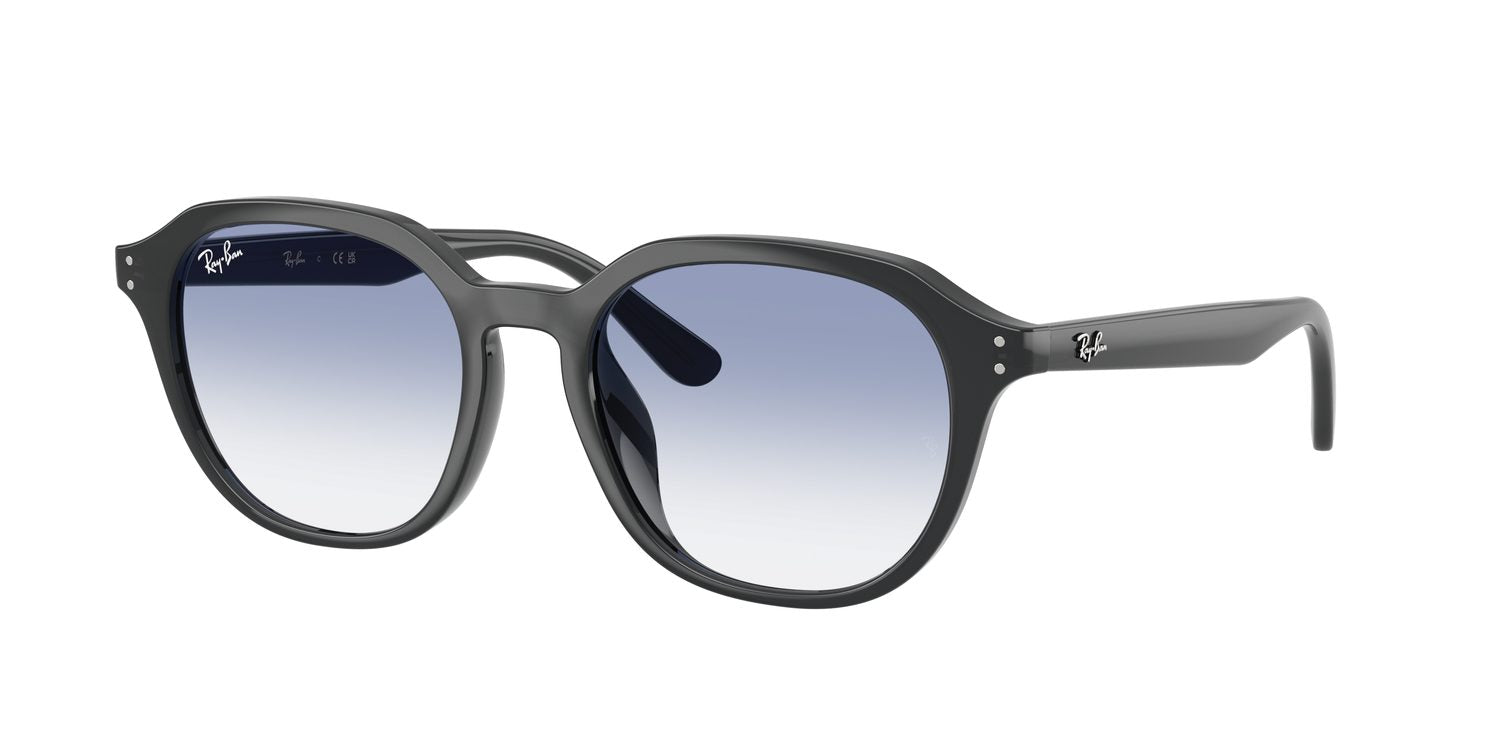 Ray-Ban | 0RB4459D