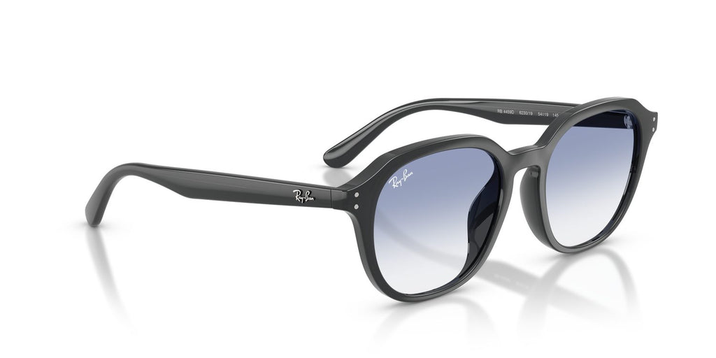 Ray-Ban | 0RB4459D
