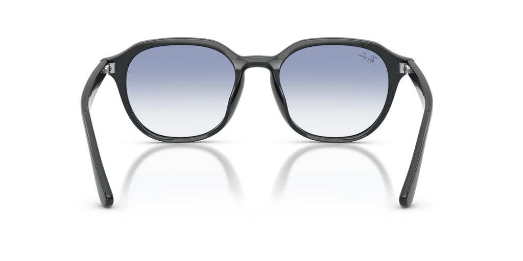 Ray-Ban | 0RB4459D