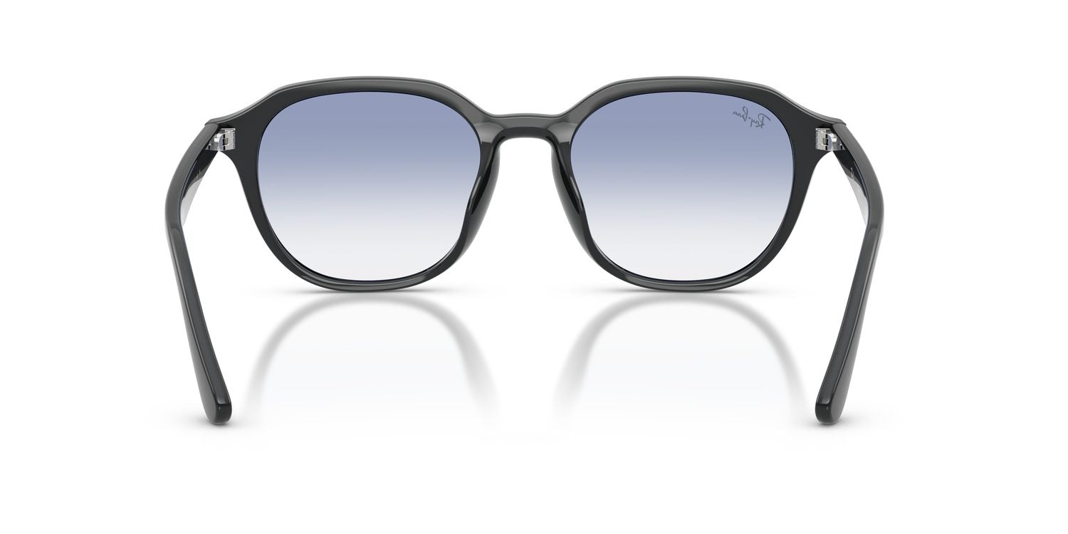 Ray-Ban | 0RB4459D