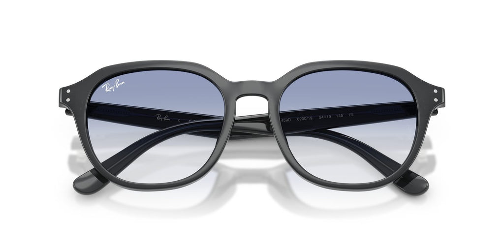 Ray-Ban | 0RB4459D