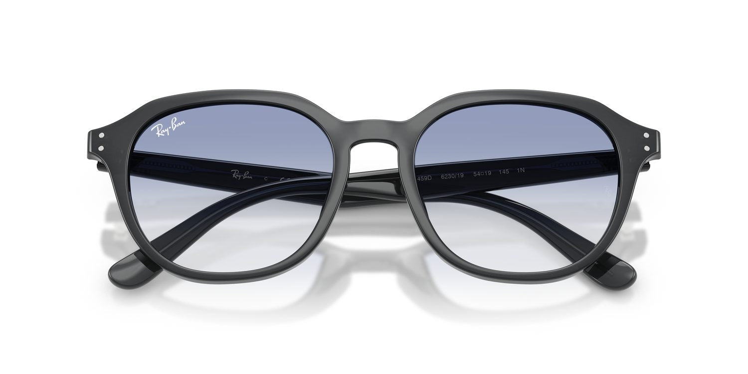 Ray-Ban | 0RB4459D