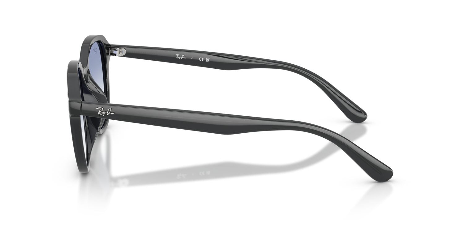 Ray-Ban | 0RB4459D