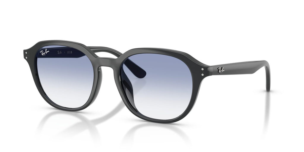 Ray-Ban | 0RB4459D