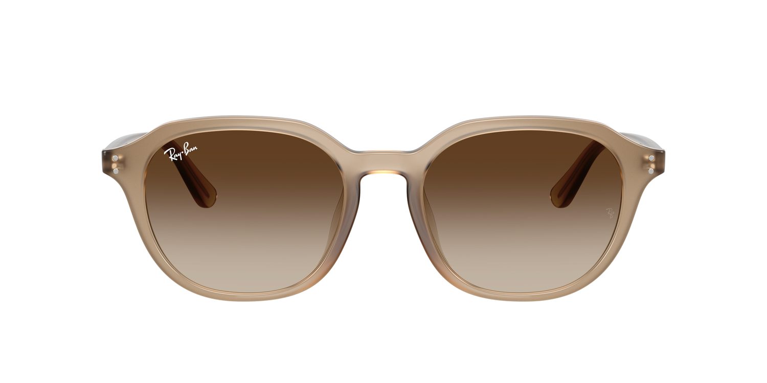 Ray-Ban | 0RB4459D