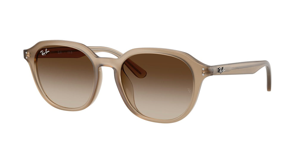 Ray-Ban | 0RB4459D