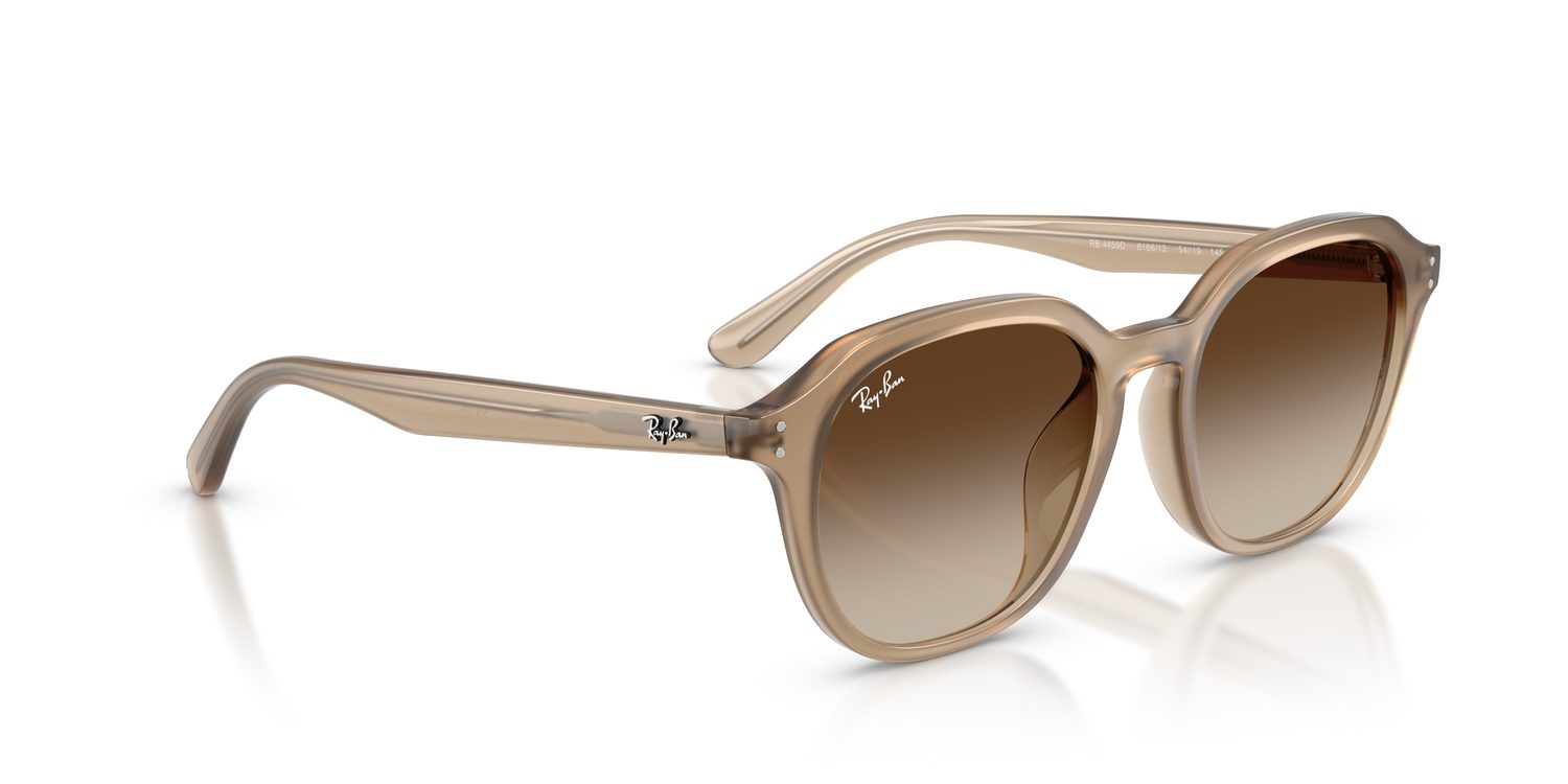 Ray-Ban | 0RB4459D