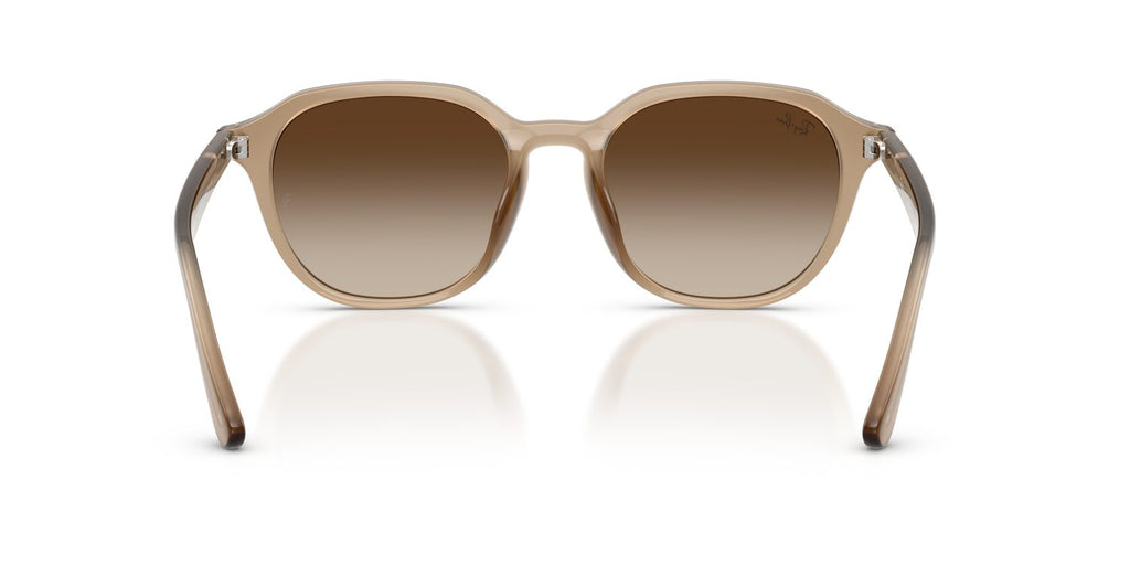 Ray-Ban | 0RB4459D