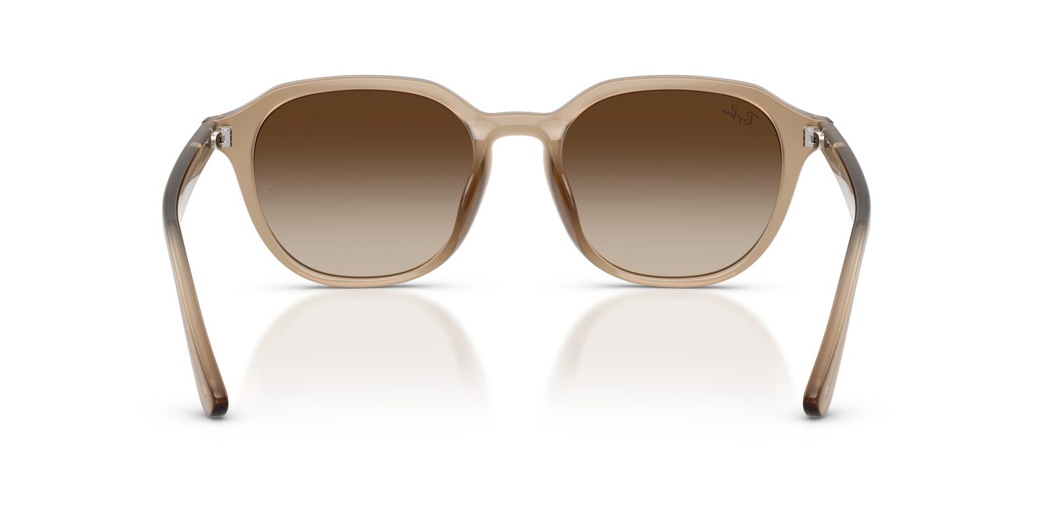 Ray-Ban | 0RB4459D