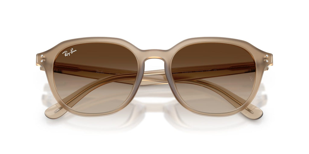 Ray-Ban | 0RB4459D