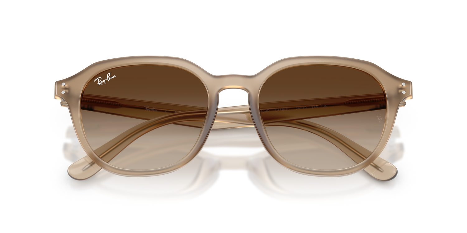 Ray-Ban | 0RB4459D