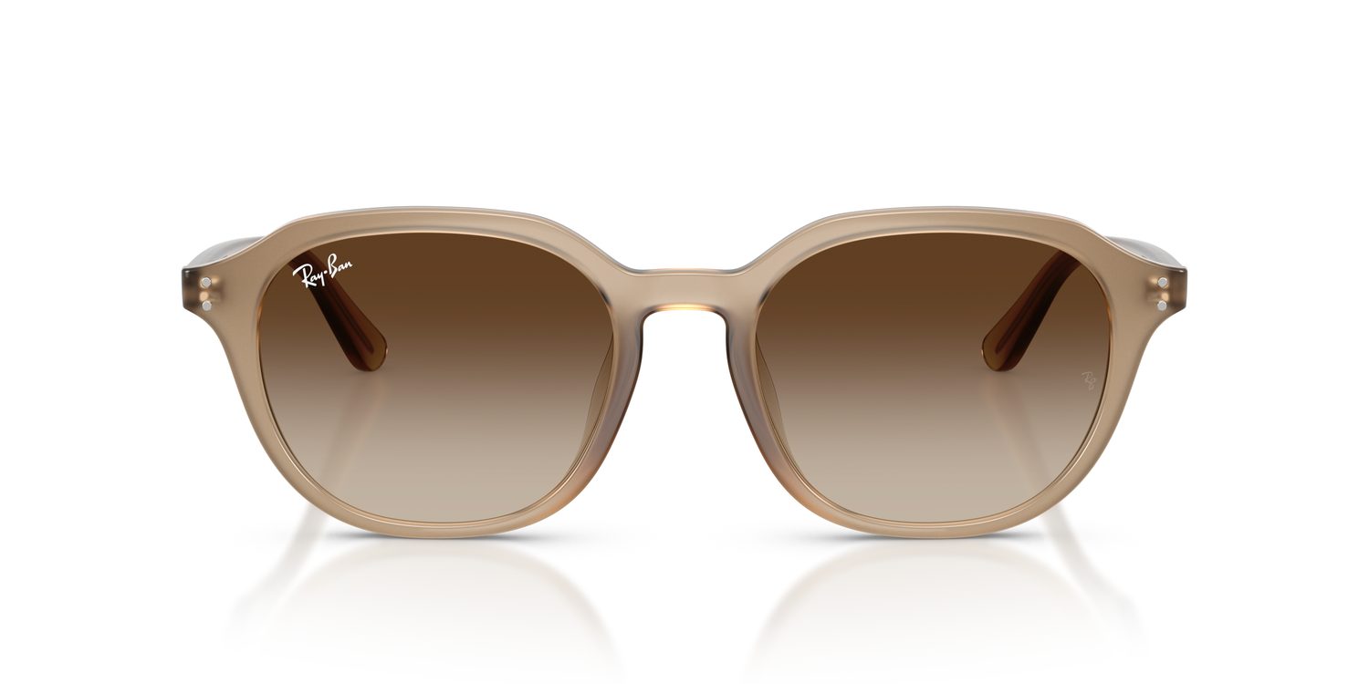 Ray-Ban | 0RB4459D
