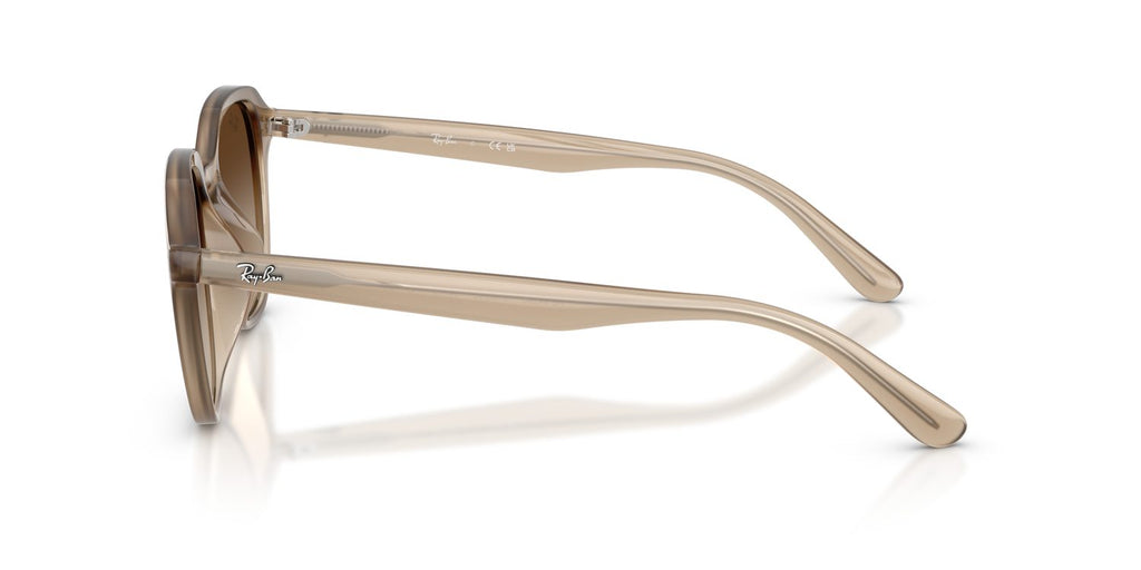 Ray-Ban | 0RB4459D