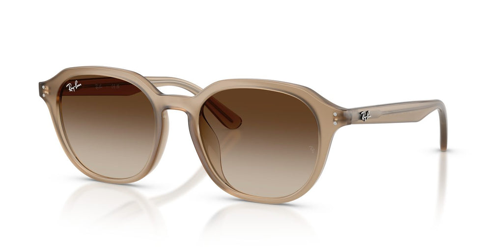 Ray-Ban | 0RB4459D