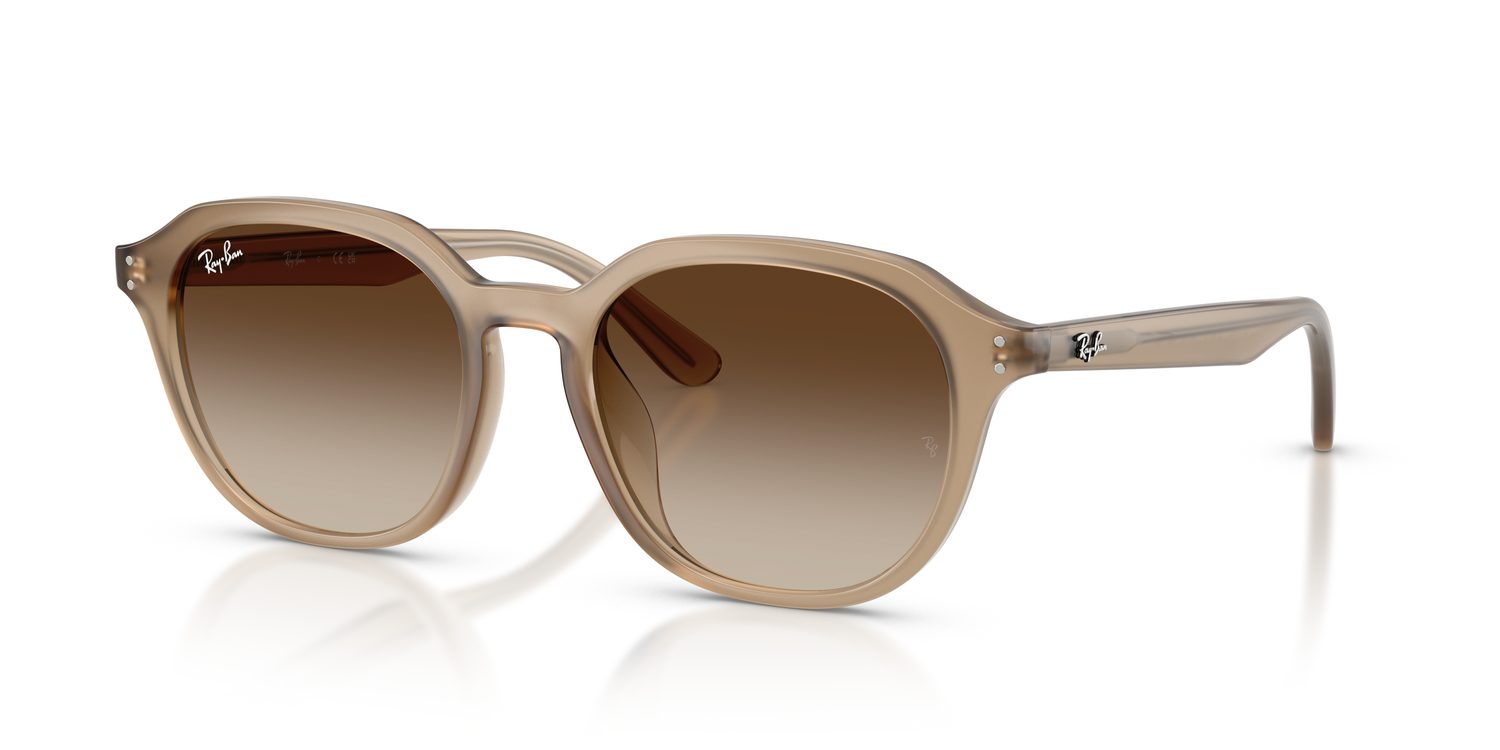 Ray-Ban | 0RB4459D