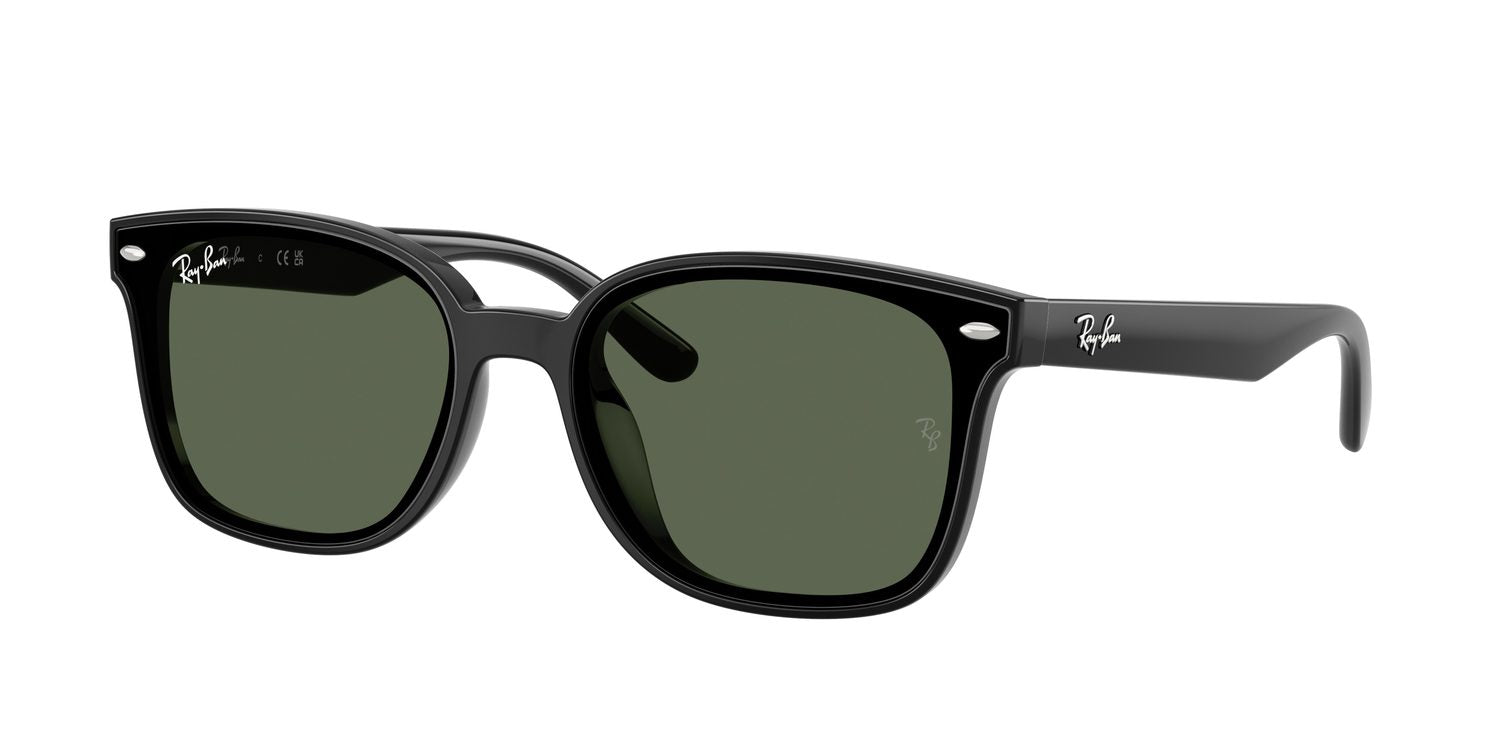 Ray-Ban | 0RB4461D