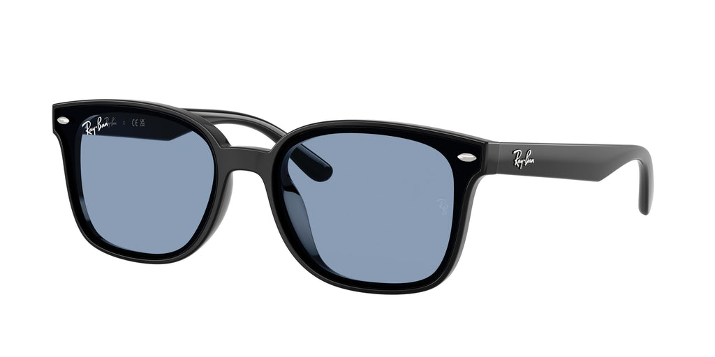 Ray-Ban | 0RB4461D