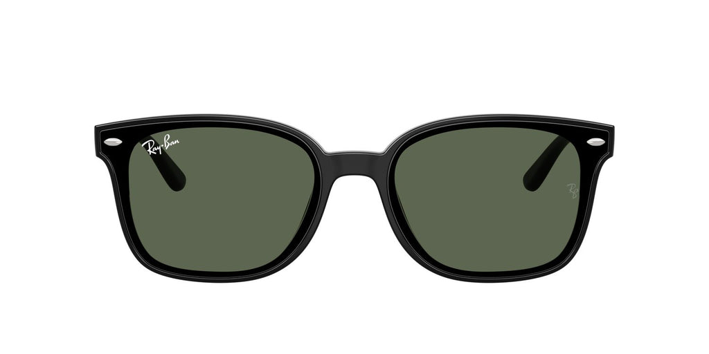 Ray-Ban | 0RB4461D