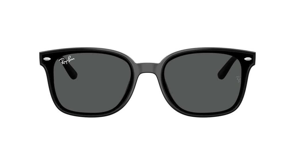 Ray-Ban | 0RB4461D