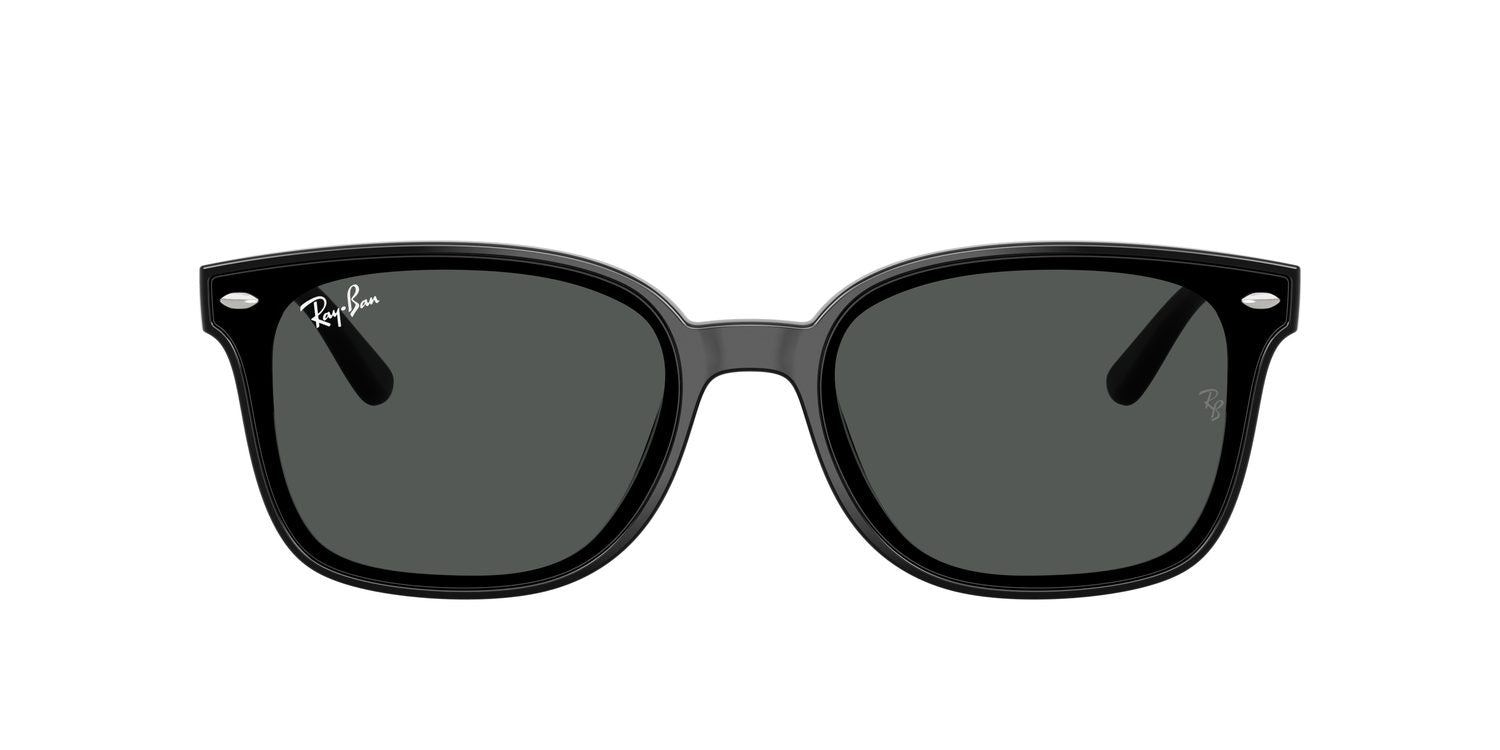 Ray-Ban | 0RB4461D