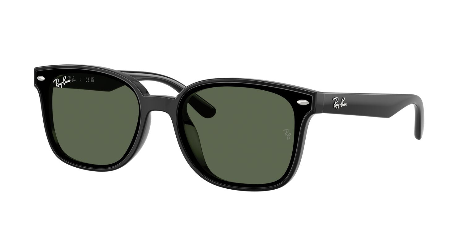 Ray-Ban | 0RB4461D