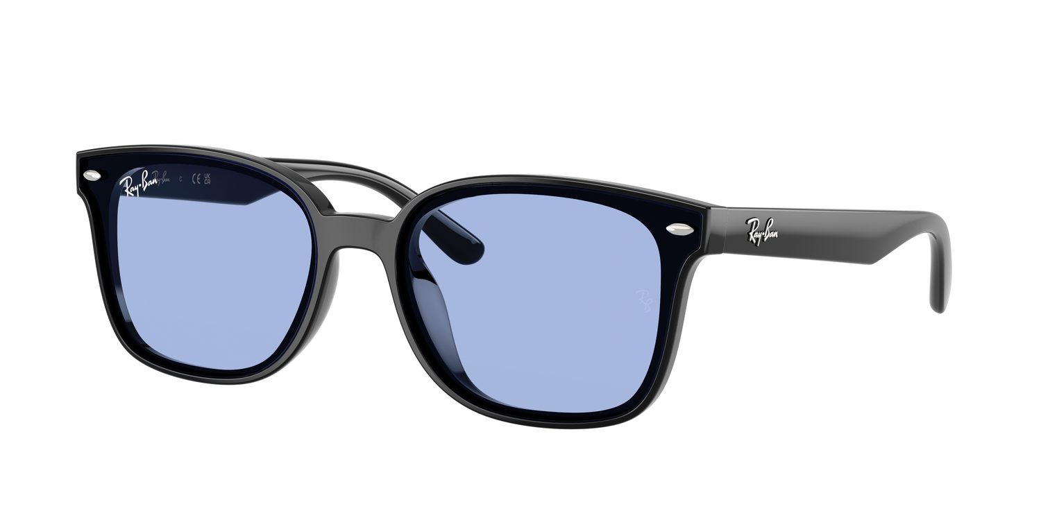 Ray-Ban | 0RB4461D