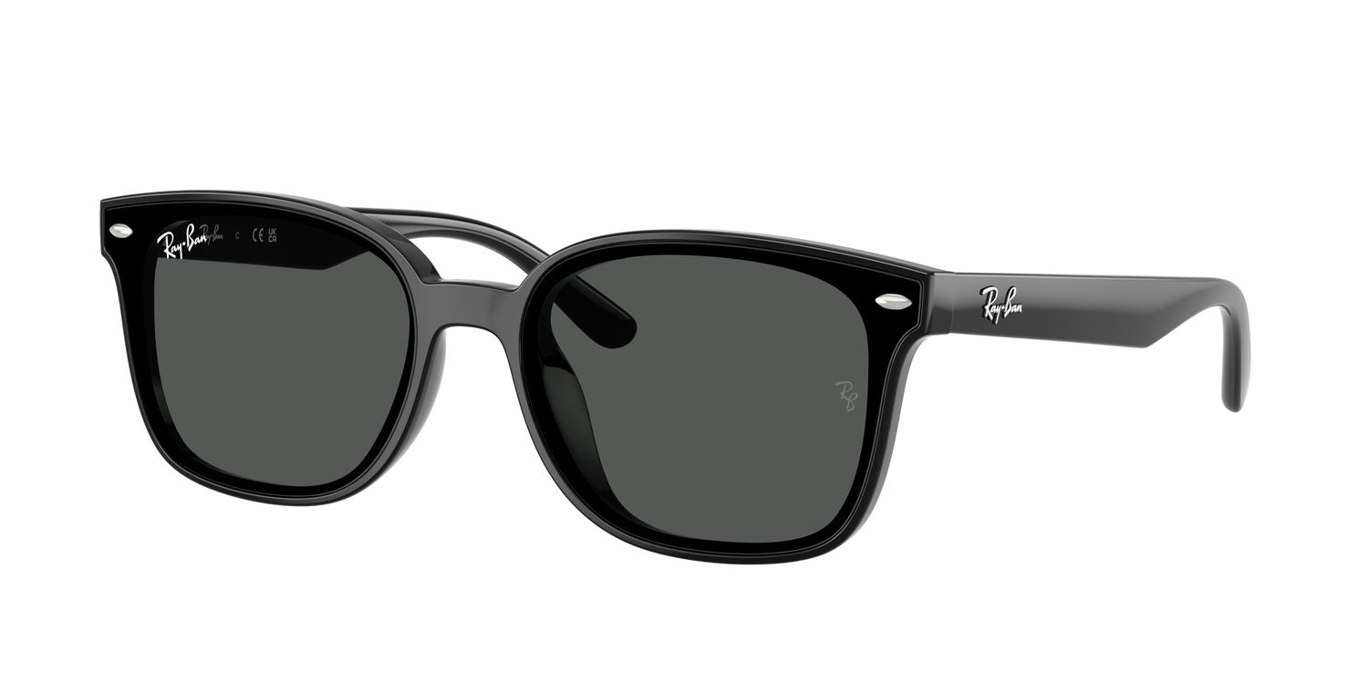 Ray-Ban | 0RB4461D