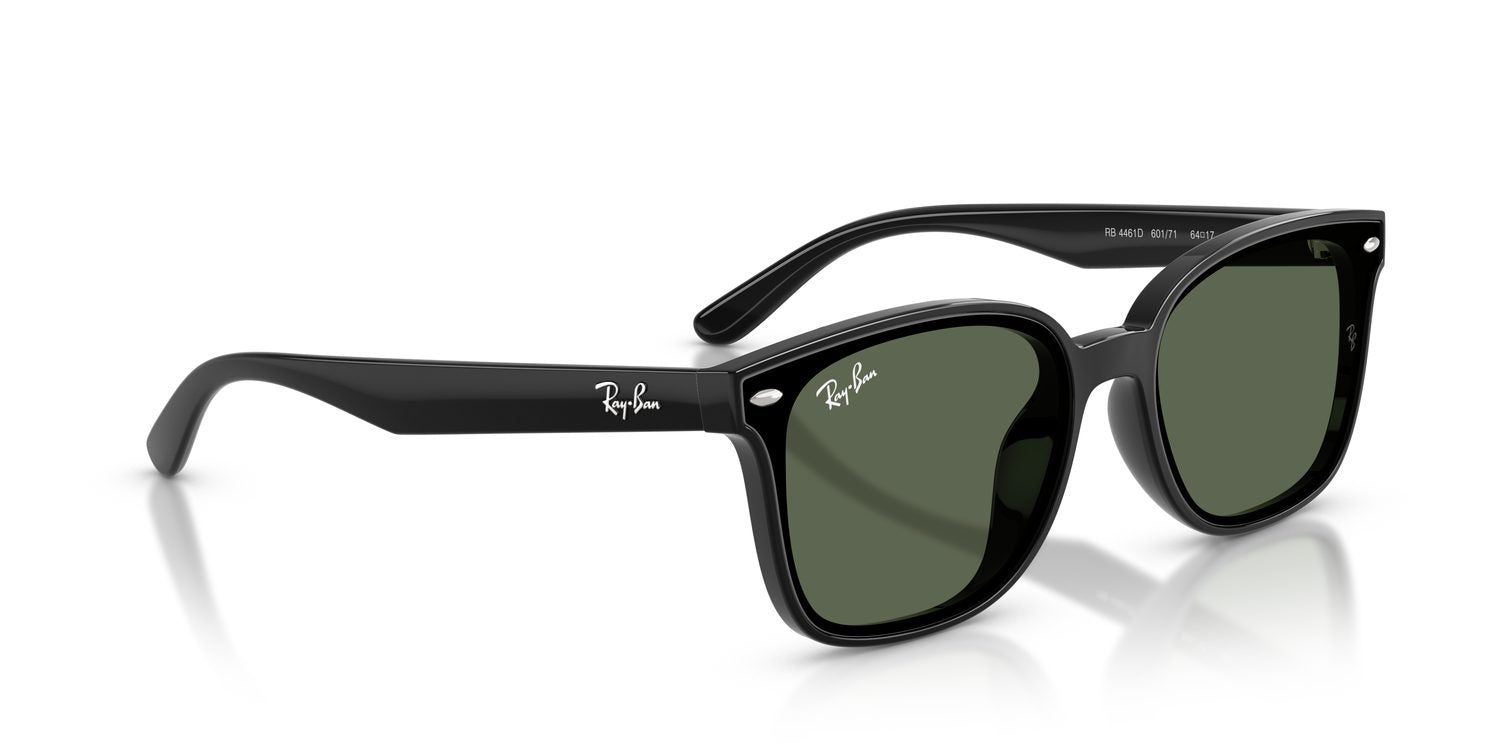 Ray-Ban | 0RB4461D