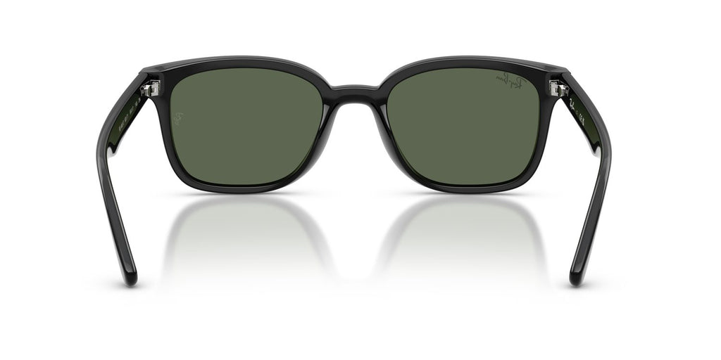 Ray-Ban | 0RB4461D
