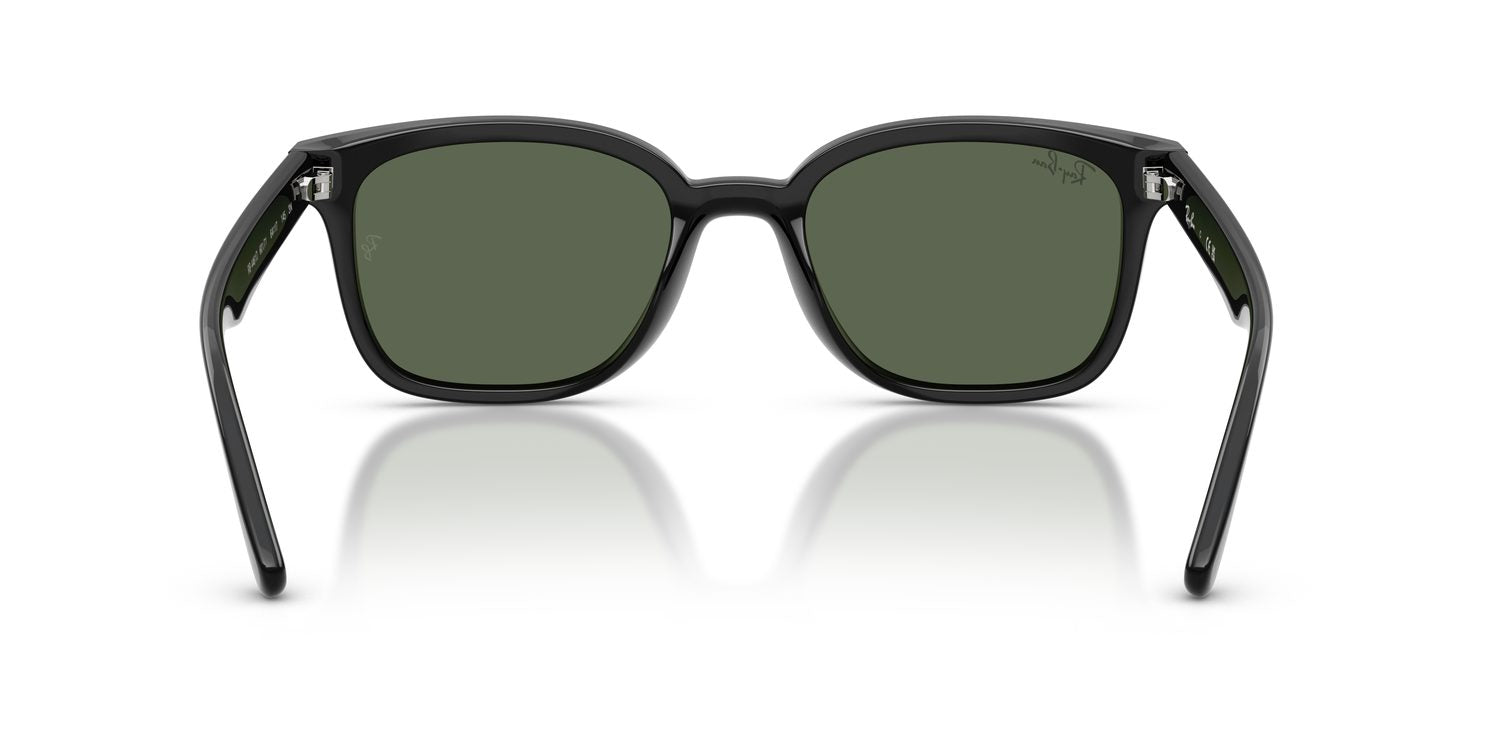 Ray-Ban | 0RB4461D