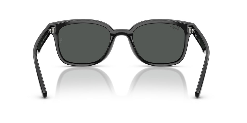 Ray-Ban | 0RB4461D